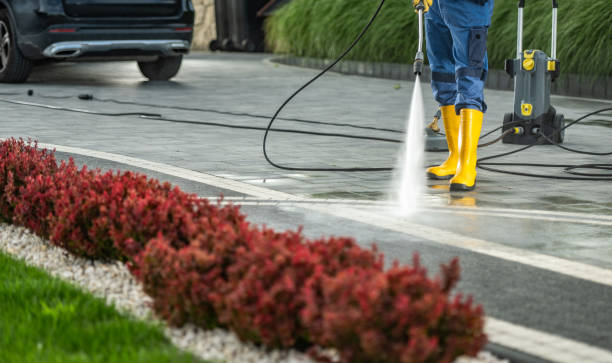 Best Sidewalk and Walkway Cleaning  in Ishpeng, MI